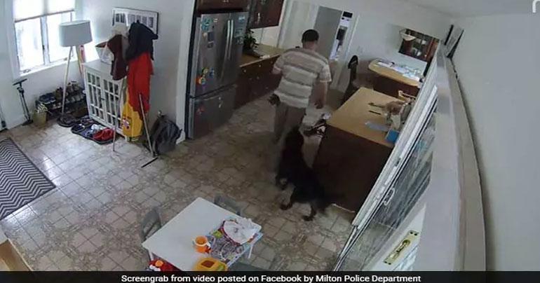 
Thief Breaks Into House, Family Dog Follows Him Around Wagging Its Tail

