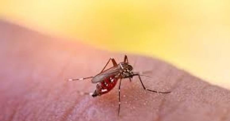 An increased risk of dengue due to the prevailing weather condition ; Director of the National Dengue Eradication Unit, Dr. Aruna Jayasekara
