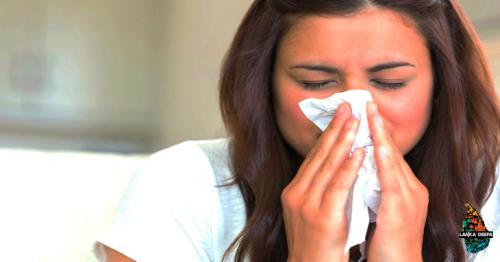 Natural Remedies To Cure Allergies