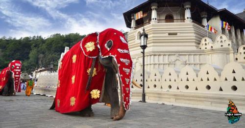 The Beauty of Sri Lanka Explored Through Festivals