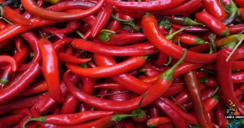 Could Chili Peppers Become The Hottest New Thing In Weight Loss?