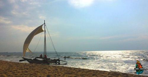 Discovering the Best of Negombo
