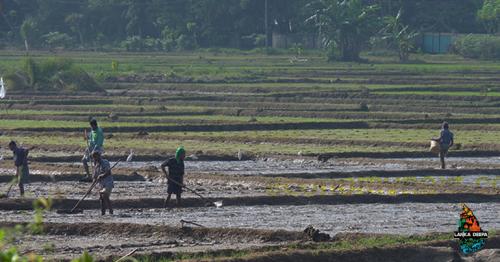 Sri Lanka Farmers Cautioned On Water Use In 2018 Despite La NiñA