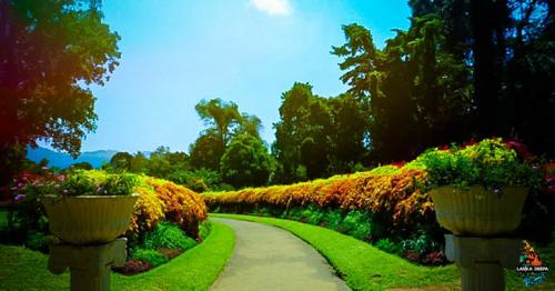 Botanical Gardens In Sri Lanka