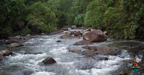 Natural Bathing Places in Sri Lanka – Rivers and Waterfalls