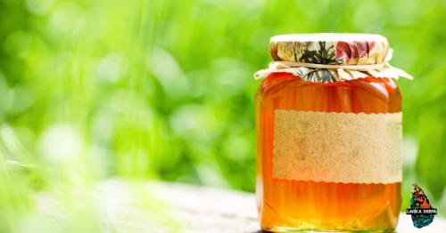 Is Honey Bad For You, or Good? The Sweet Truth Revealed