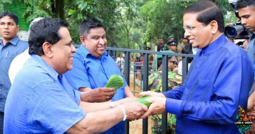 Fifty percent subsidy given to farmers on seed potatoes would be increased to 100 percent- President