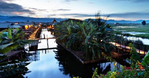 9 Hotels In Asia That You Share With Animals