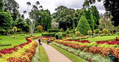 Selective Six: Best Public Gardens In Asia