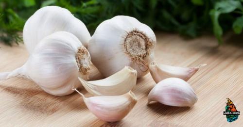 5 Side Effects Of Garlic You Must Be Aware Of