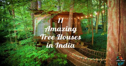 11 Amazing Tree Houses In India: A Treat For Your Younger Self!