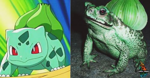 10 Pokemon That Actually Exist In Real World!