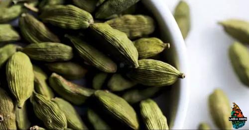 Here's How Cardamom Can Help You Lose Weight