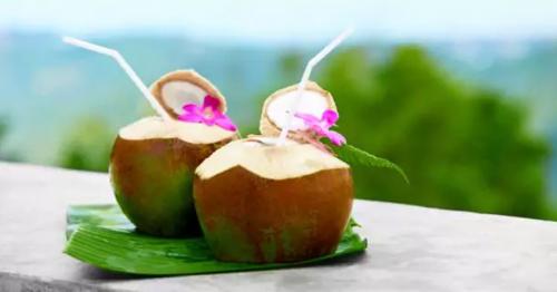10 Reasons why you should start drinking Coconut Water daily