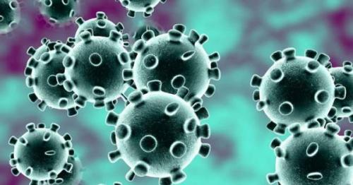 Sri Lanka’s COVID – 19 infections rises to 214