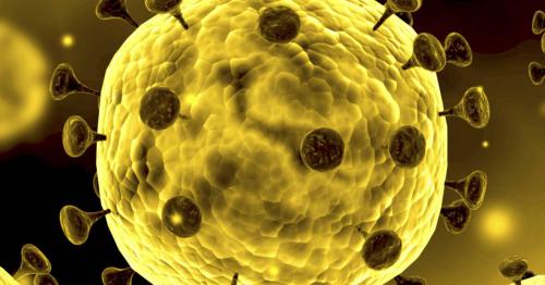 09 people tested positive for coronavirus in Sri Lanka on Tuesday
