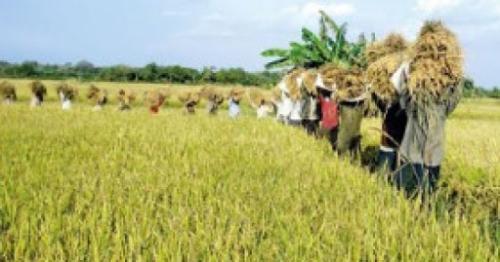 Govt. introduces certified prices for 16 crops